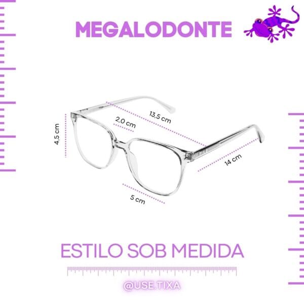 Megalodonte - Imagem 11